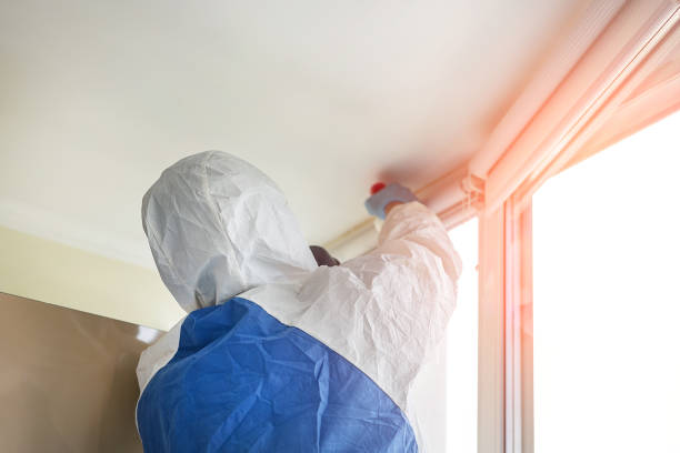 Why You Should Choose Our Mold Remediation Services in Riverdale, IL